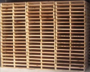 Packers Pallets